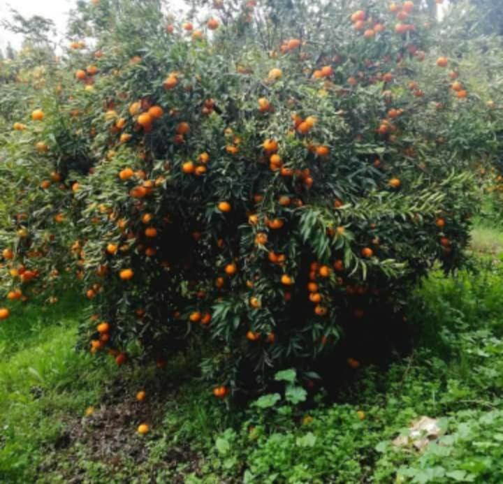 בית הארחה El Kheriba 	Dar Khedija מראה חיצוני תמונה