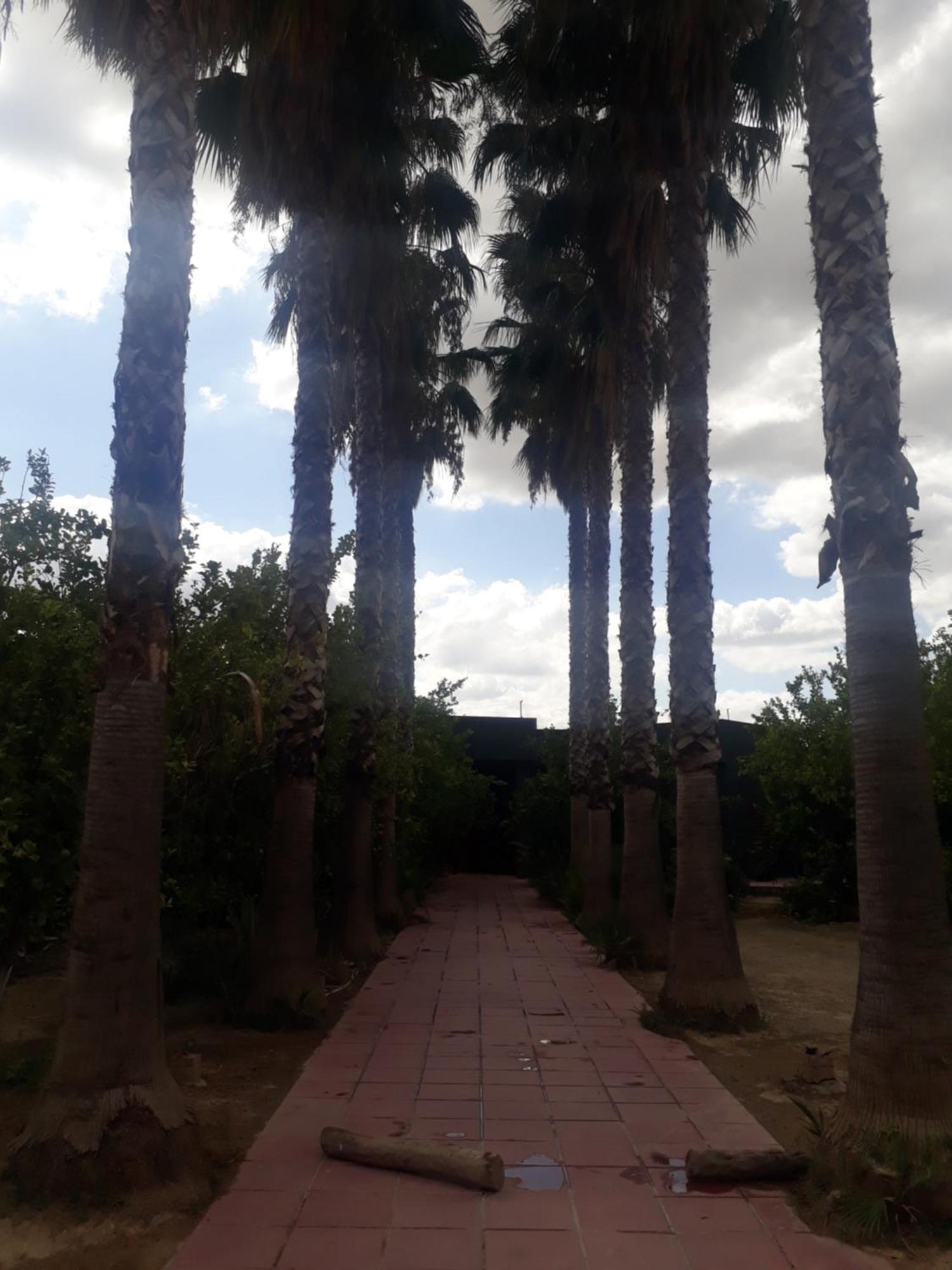 בית הארחה El Kheriba 	Dar Khedija מראה חיצוני תמונה